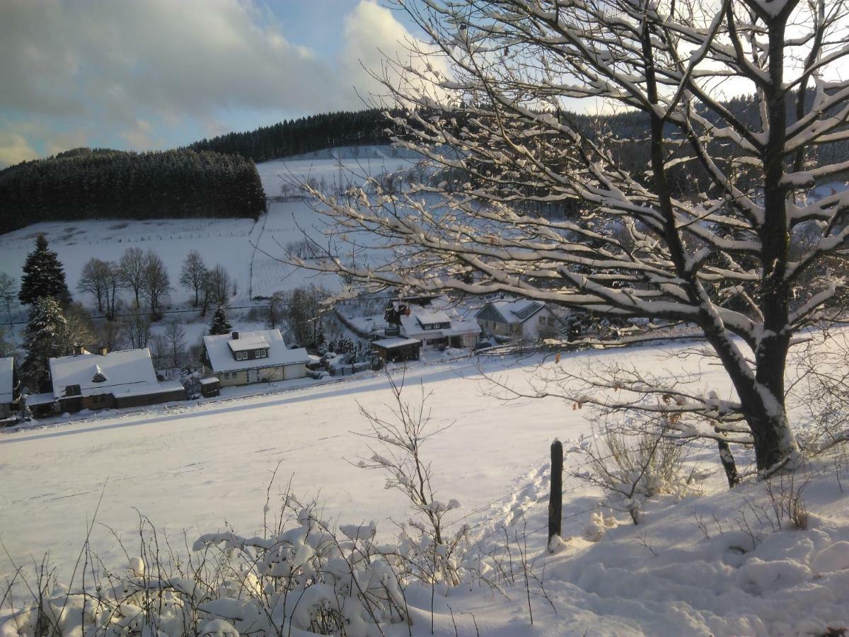 Haus Stammecke Apartment Winterberg Luaran gambar